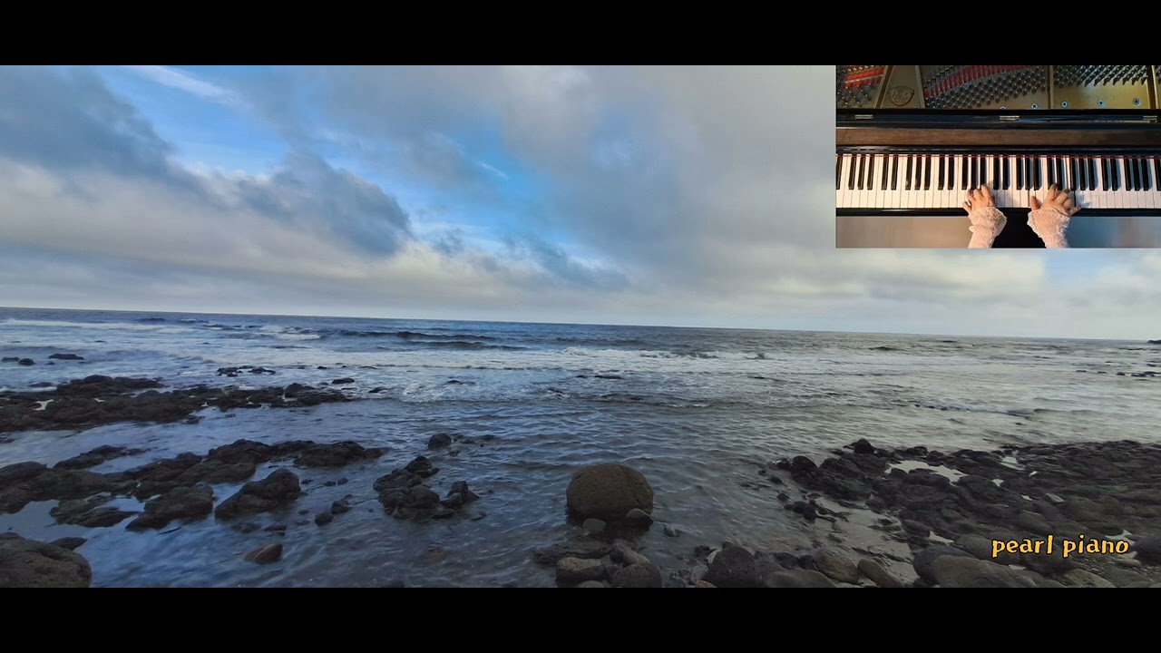 앙드레 가뇽 피아노 곡  티어순위입니다.