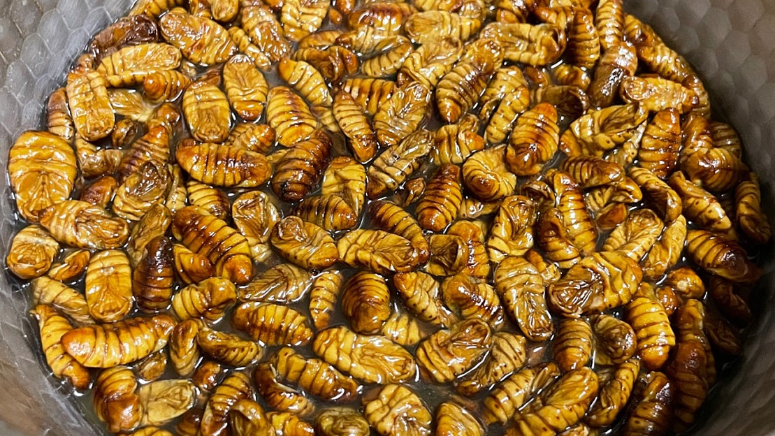 겨울철 개인적 간식 티어